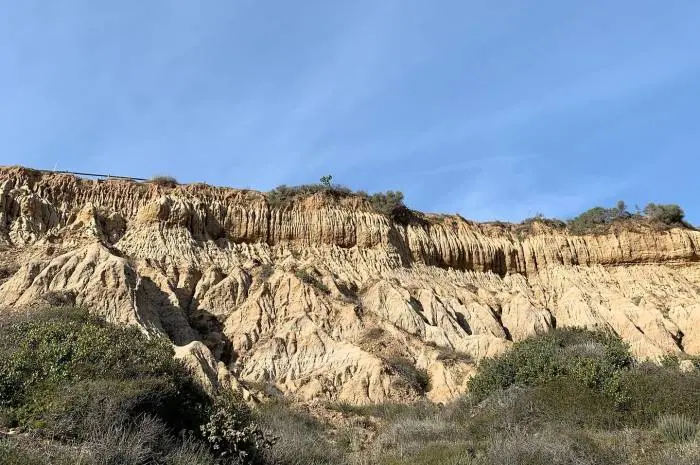 Torrey Pines State Natural Reserve