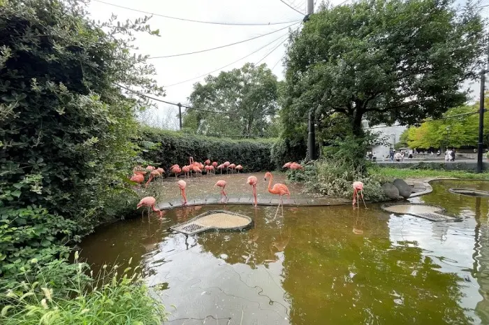 Ueno Zoological Gardens