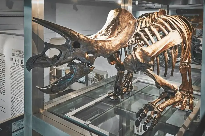 Ulster Museum