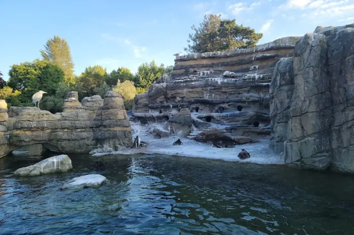 Woodland Park Zoo