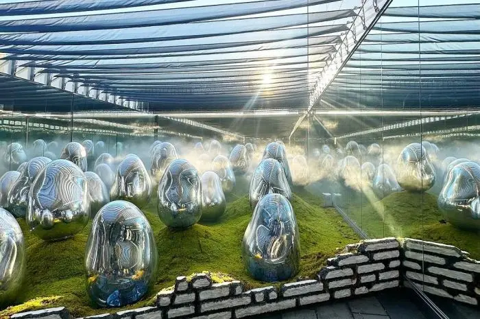 teamLab Planets