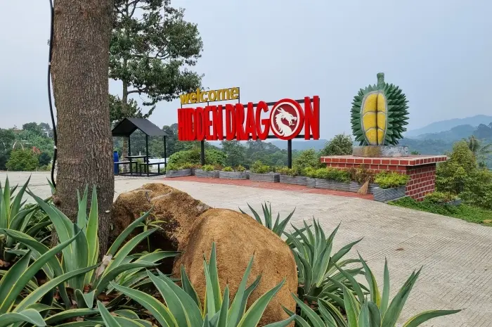 Waterfall Tours in Bogor with Enchanting Natural Beauty